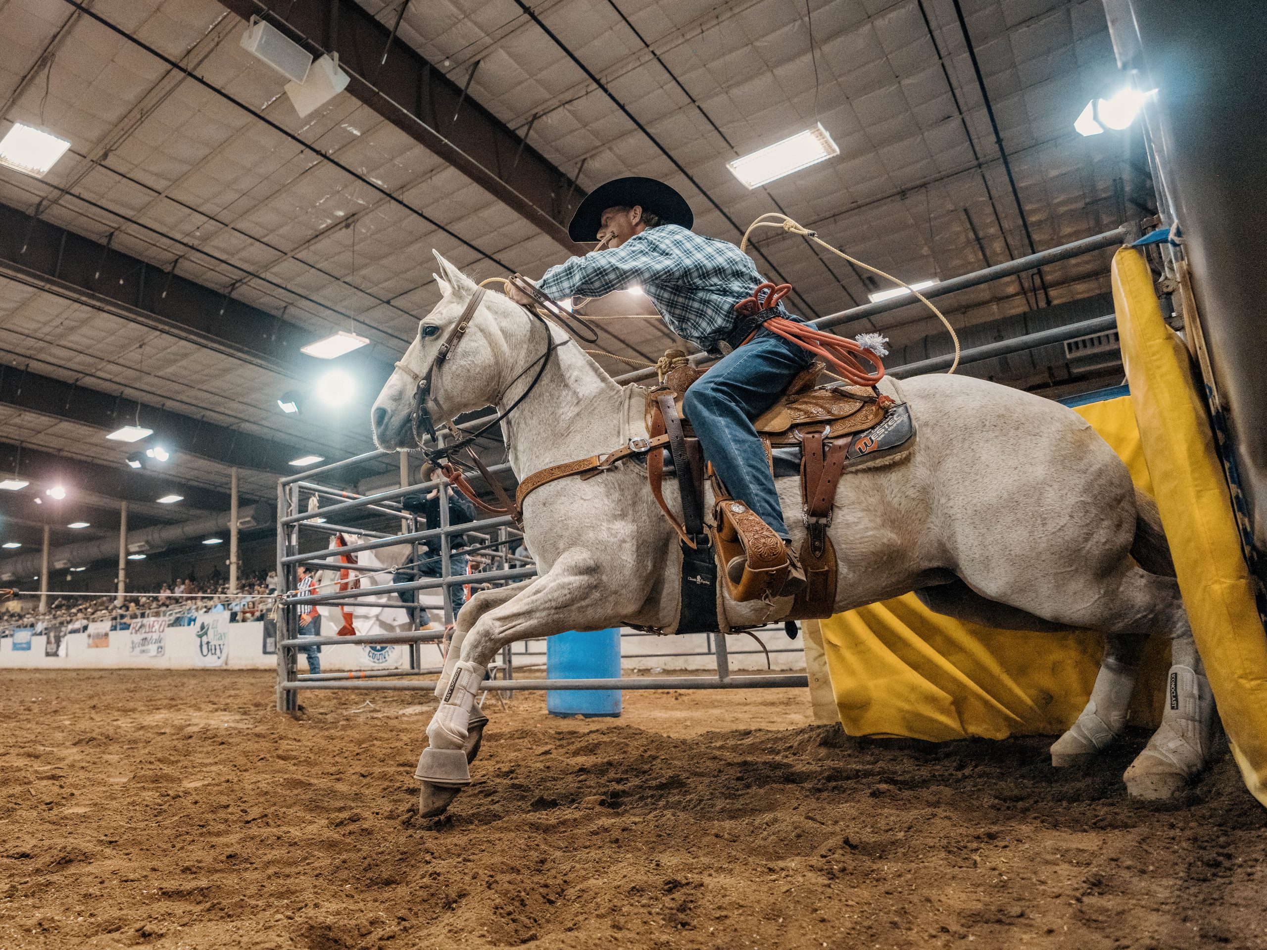 prca rodeo cowboy tie down roper launches from the box to catch and tie his calf during a rodeo scottsdale prca performance